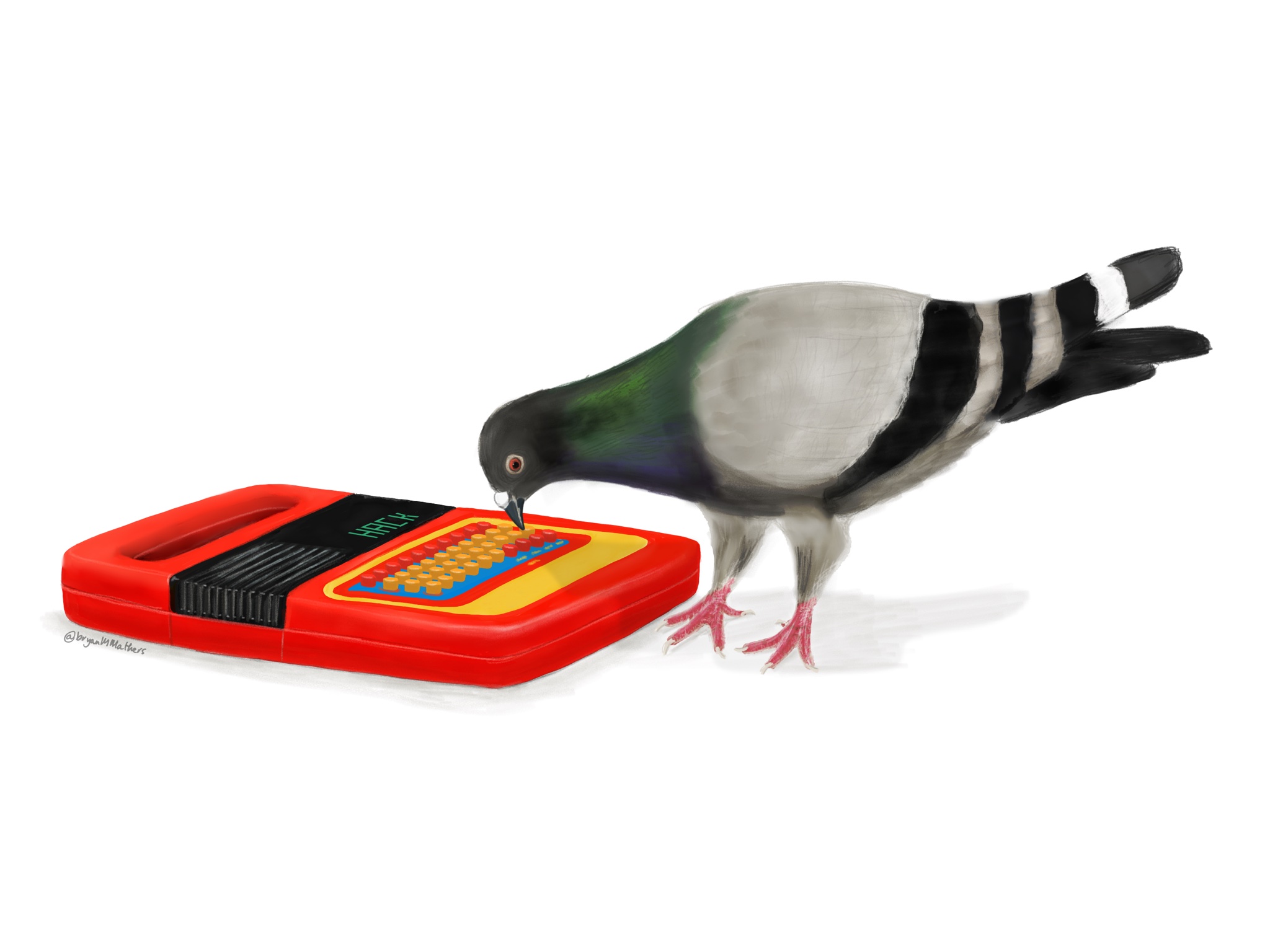 the-pigeons-of-education-technology